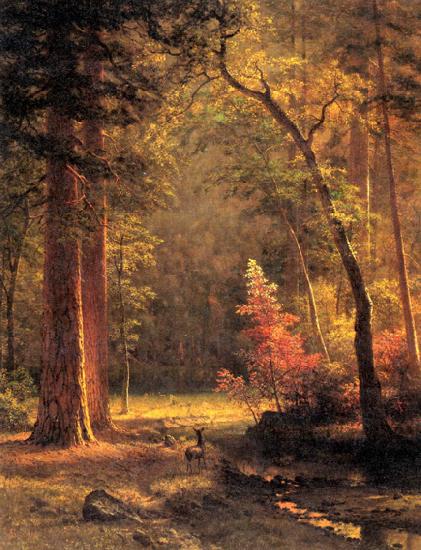 Albert Bierstadt Dogwood by Albert Bierstadt
